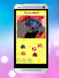 Puppy Dog Kids Picture Puzzle Screen Shot 4
