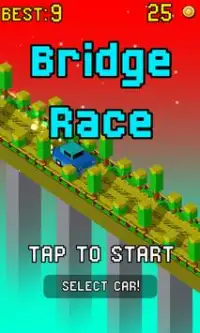 Bridge Race Screen Shot 0