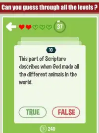 Bible True Or False Quiz Screen Shot 4