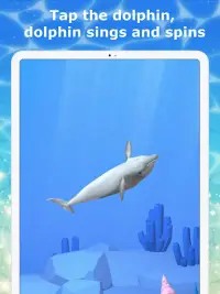 Tap Dolphin -3Dsimulation game Screen Shot 5