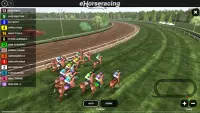 eHorseracing.com Race Viewer Screen Shot 3