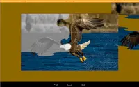 puzzle burung Screen Shot 11