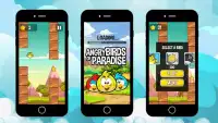 Bird Games : Birds of Paradise are Angry Screen Shot 5