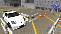 350z Driving Simulator Screen Shot 3
