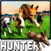 Crazy Dogs Racing Bunny Hunter : Greyhound Dog Sim