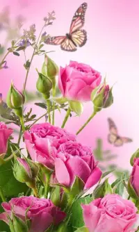 HD Rose Flowers Live Wallpaper Screen Shot 15