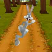 Looney Toons Dash