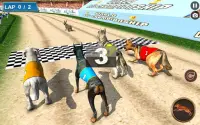 Torneo di corse di cani reali Screen Shot 7