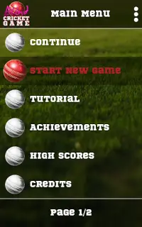 Blind Cricket Screen Shot 10