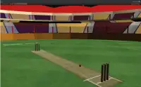 Gerçek Kriket Dışarı koşmak şampiyonluk Screen Shot 0