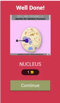 Anatomy Online Quiz: Cell and  Screen Shot 1