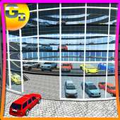 Vertical Multi Car Parking Zone 3D Sim