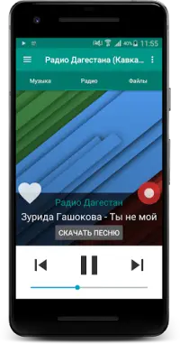 Radio of Dagestan (Caucasus) Screen Shot 1