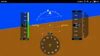 Flight Simulator Display Screen Shot 2
