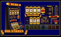 slot machine big stakes Screen Shot 1