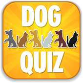 Dog Quiz & Trivia