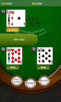 Blackjack Lite Screen Shot 2