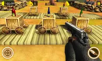 Gun Bottle Shooter Expert 3D Screen Shot 1