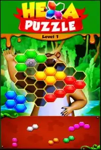 Beehive Bear: Honeycomb Hex Puzzle Screen Shot 0