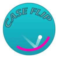 Case Flip