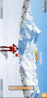 Slalom Ski Simulator Screen Shot 0