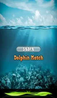 Dolphin Match Game Screen Shot 0
