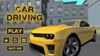 Sports Car Driving - Ultimate driving skills Screen Shot 0