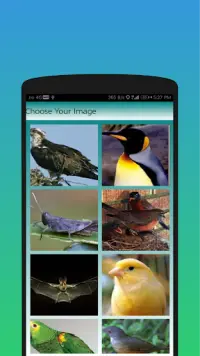 Birds Puzzle And Jigsaw Screen Shot 3