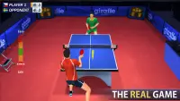 Table Tennis Champion Screen Shot 1