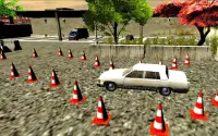 Pk Car Driving License Test Screen Shot 2