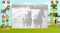 Die puzzles über die pferde Screen Shot 4