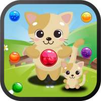 Cute Cat the Bubble Shooter
