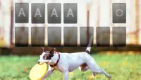 Solitaire Adorable Puppy Theme Screen Shot 3