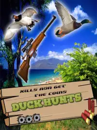 Duck Hunting Adventure Season: Waterfowl Hunting Screen Shot 3