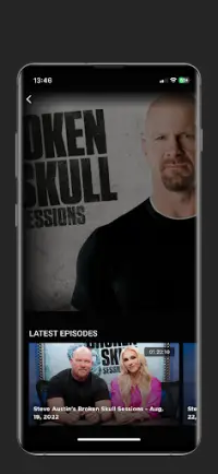 WWE Screen Shot 6