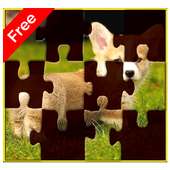 Animal Jigsaw Puzzle for Kids