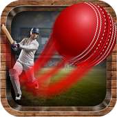 Onegame Cricket 2019