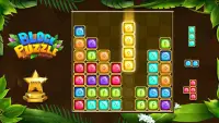 Block Puzzle Rune Jewels Mania Screen Shot 5