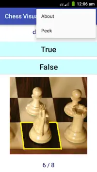 Chess Vision Screen Shot 2