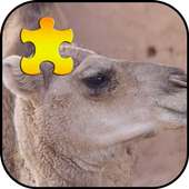 Camel Jigsaw Puzzles Game