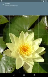 Jigsaw Puzzle: Flowers Screen Shot 13