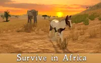 아프리카 말 시뮬레이터 3D Screen Shot 1