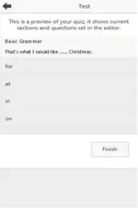 Words Grammar Test Screen Shot 1