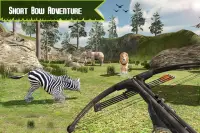Охотничьи оленьи игры 3D-Animal Hunter 2020 Screen Shot 6