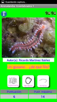 Animalandia Invertebrados 1 Screen Shot 14