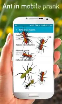 Ants in Mobile Prank Screen Shot 4
