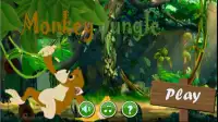 Monkey Jungle Miami Screen Shot 0