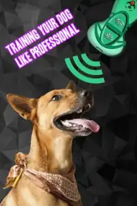 Dog Trainer Clicker (Smart Dog Trainer) Screen Shot 1