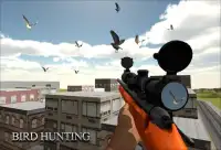 Berburu burung Shooter 2016 Screen Shot 0