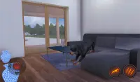 Rottweiler Dog Simulator Screen Shot 8